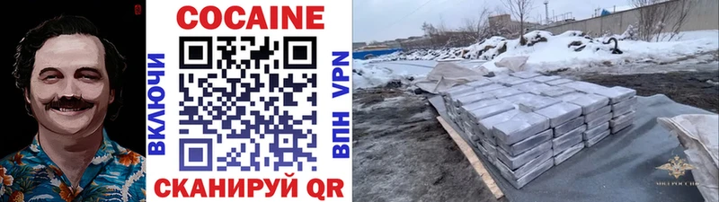 hydra вход  купить наркоту  Ачхой-Мартан  Cocaine Fish Scale 