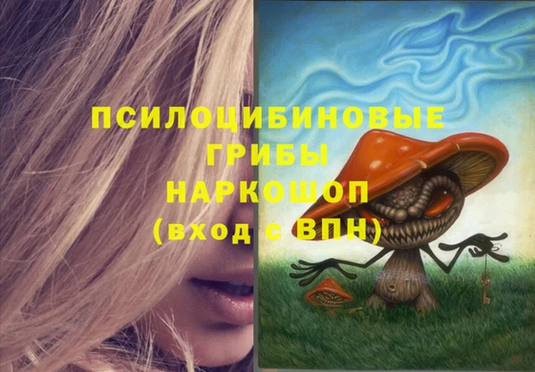 эйфоретик Абинск