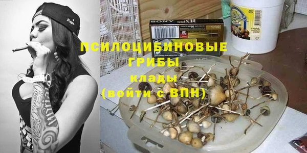 эйфоретик Абинск