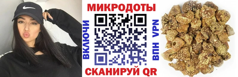 Псилоцибиновые грибы GOLDEN TEACHER  купить наркотики цена  Ачхой-Мартан 